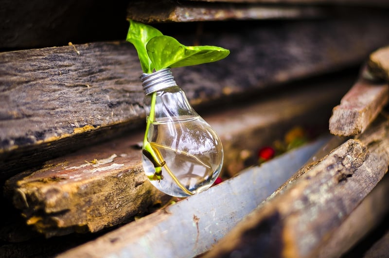 Nature-inspired Upcycling