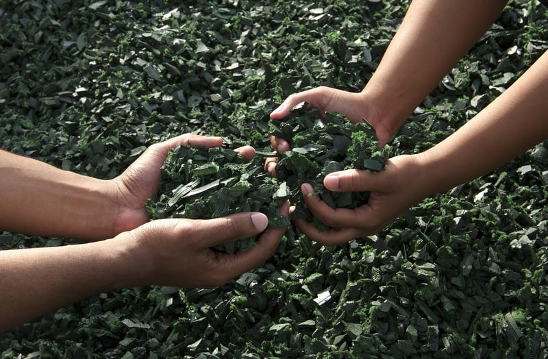 Sustainable Gifts